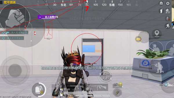 和平精英《向日葵》外挂